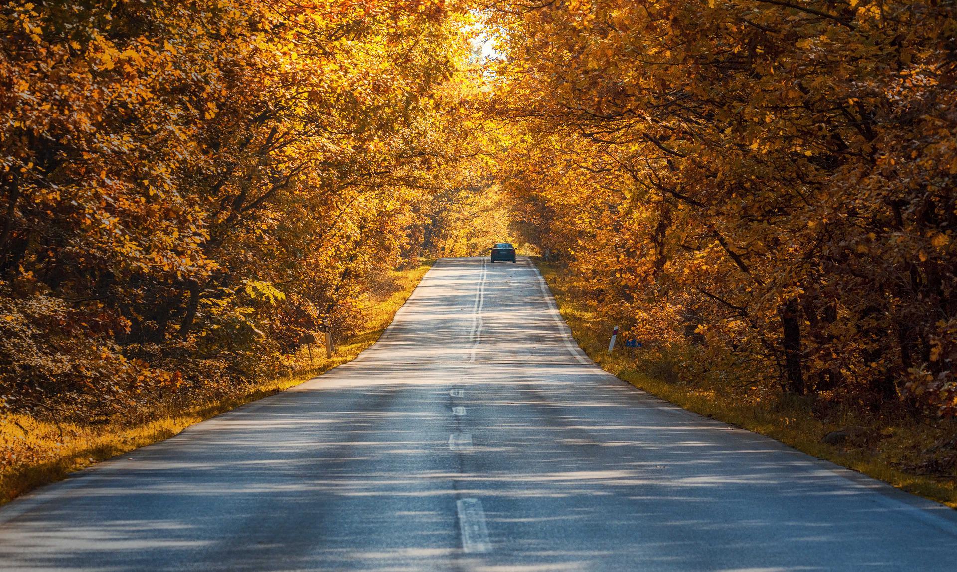 5 destinos para este otoño 2022