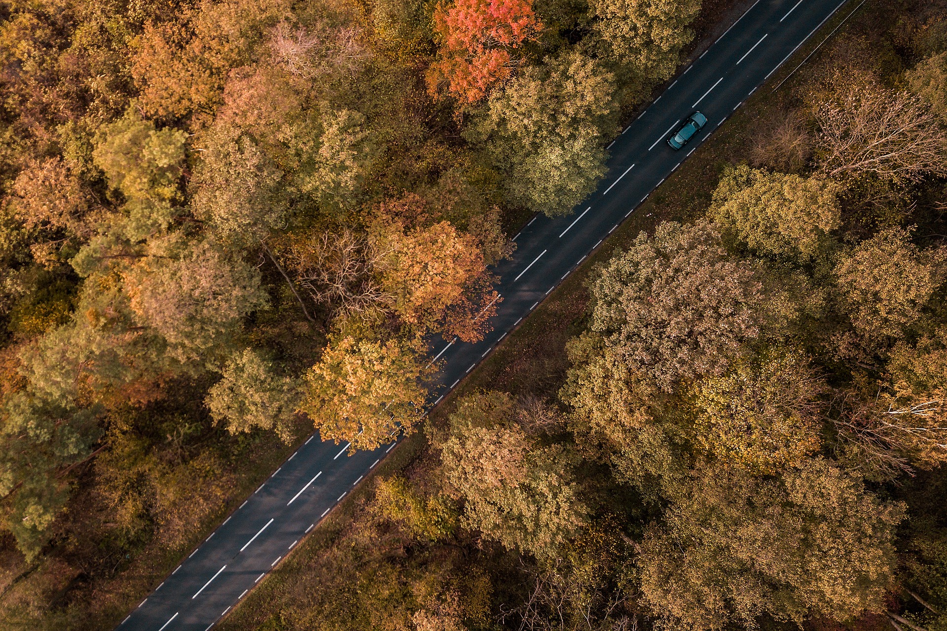 5 destinos perfectos para visitar en otoño