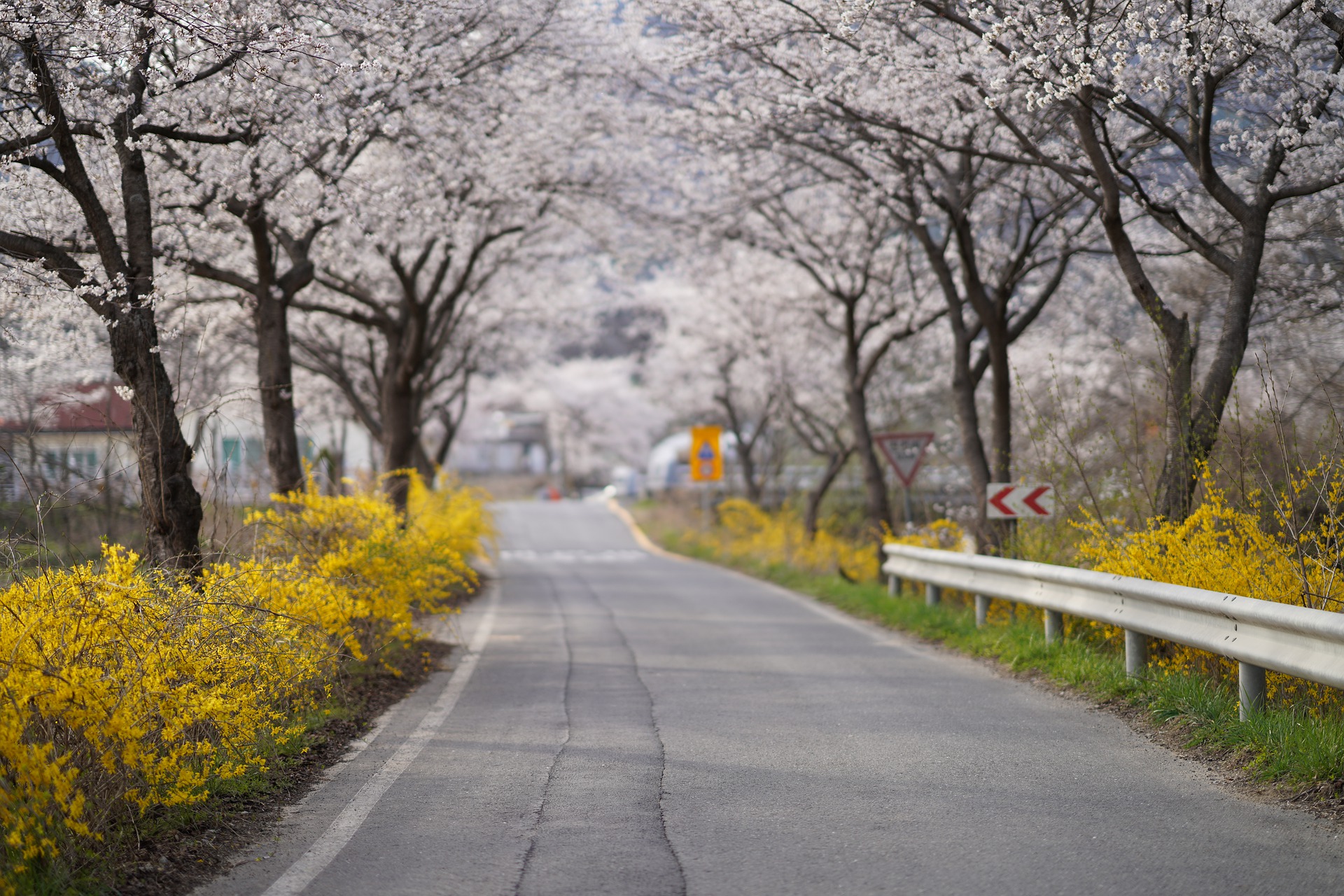 5 escapadas obligatorias en esta primavera